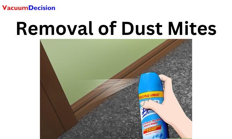 Removal of Dust Mites
