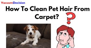 How To Clean Pet Hair From Carpet
