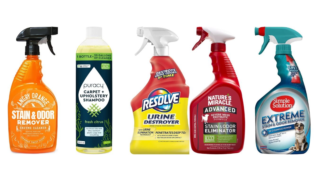 Best 10 Carpet Stain Removers For Old Stains